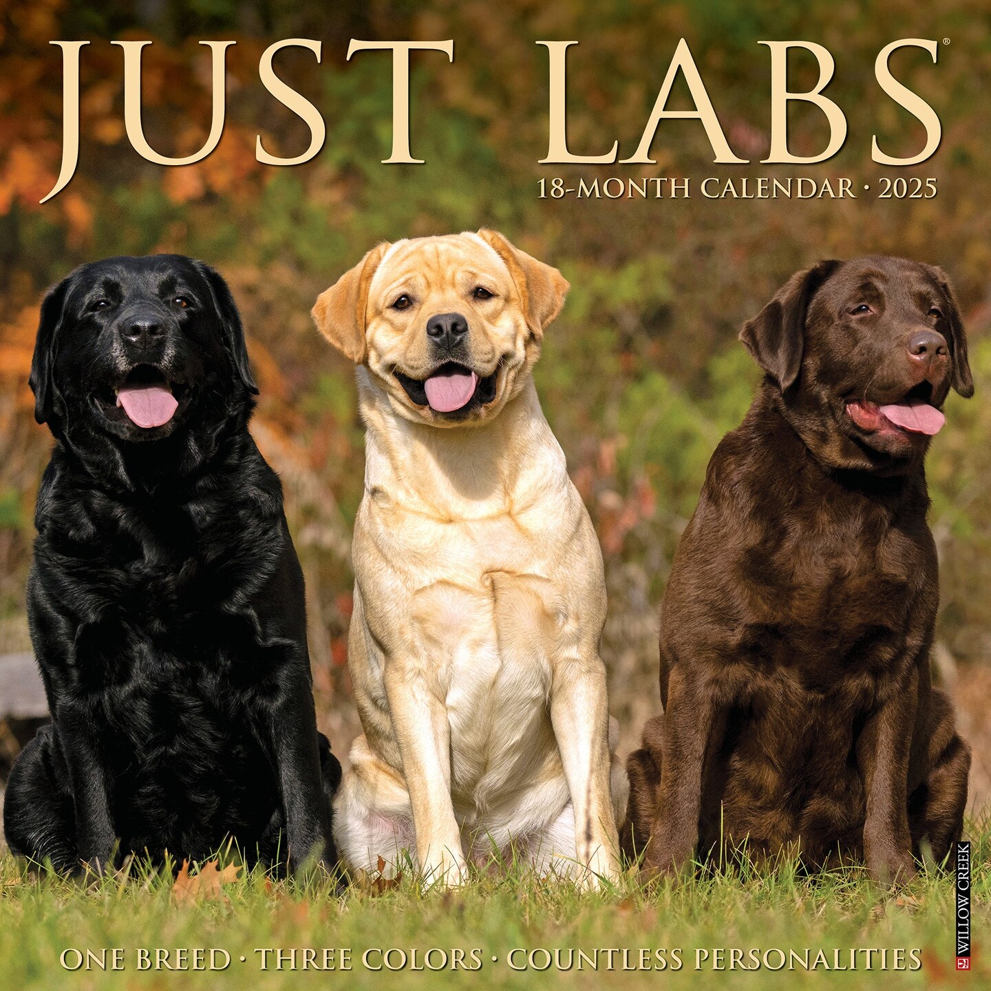 Labs 2025 Wall Calendar