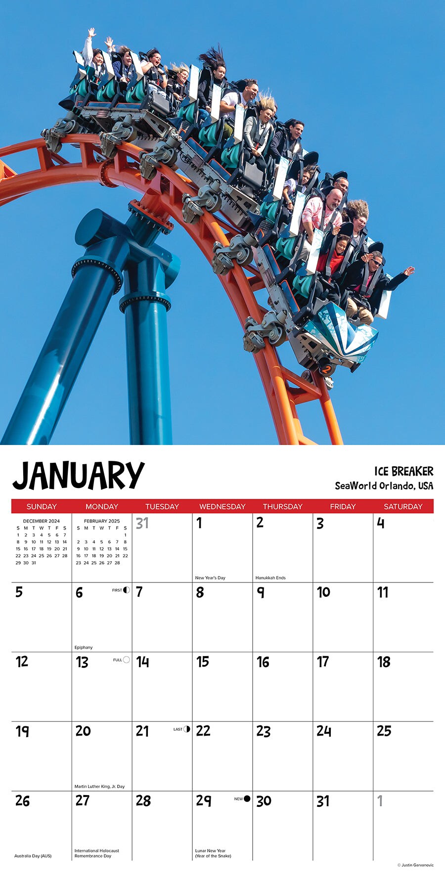 Roller Coasters 2025 Wall Calendar