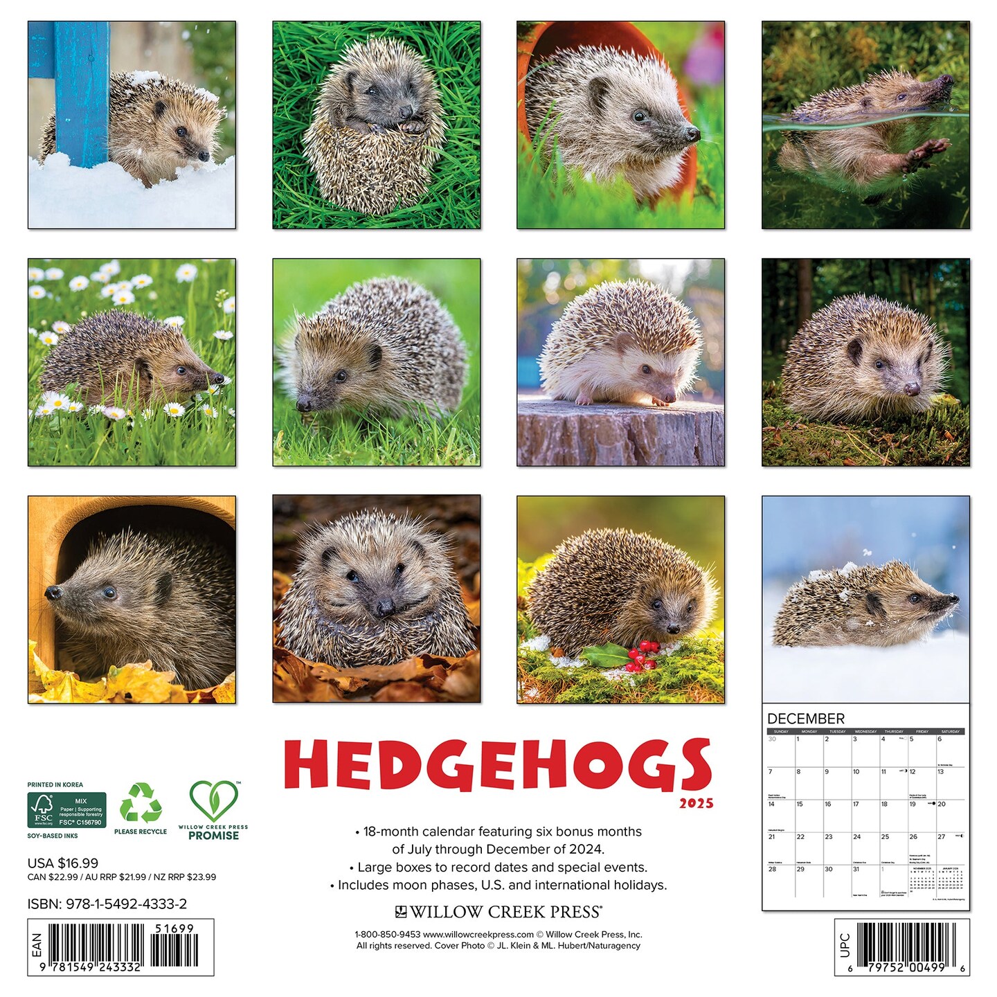 Hedgehogs 2025 Wall Calendar