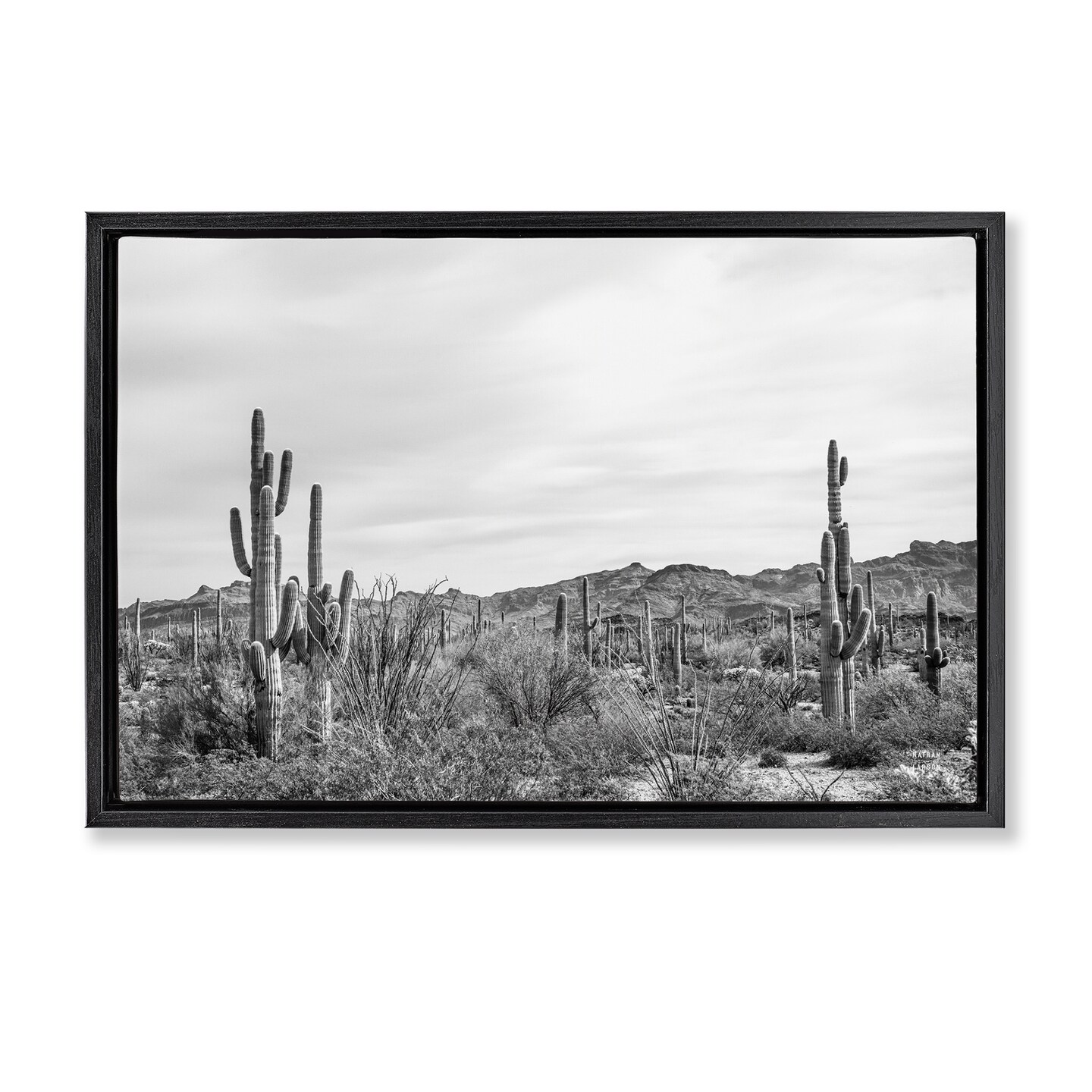 Stupell Industries Sonoran Desert Wonderland Framed Floater Canvas Wall Art Design by Nathan Larson