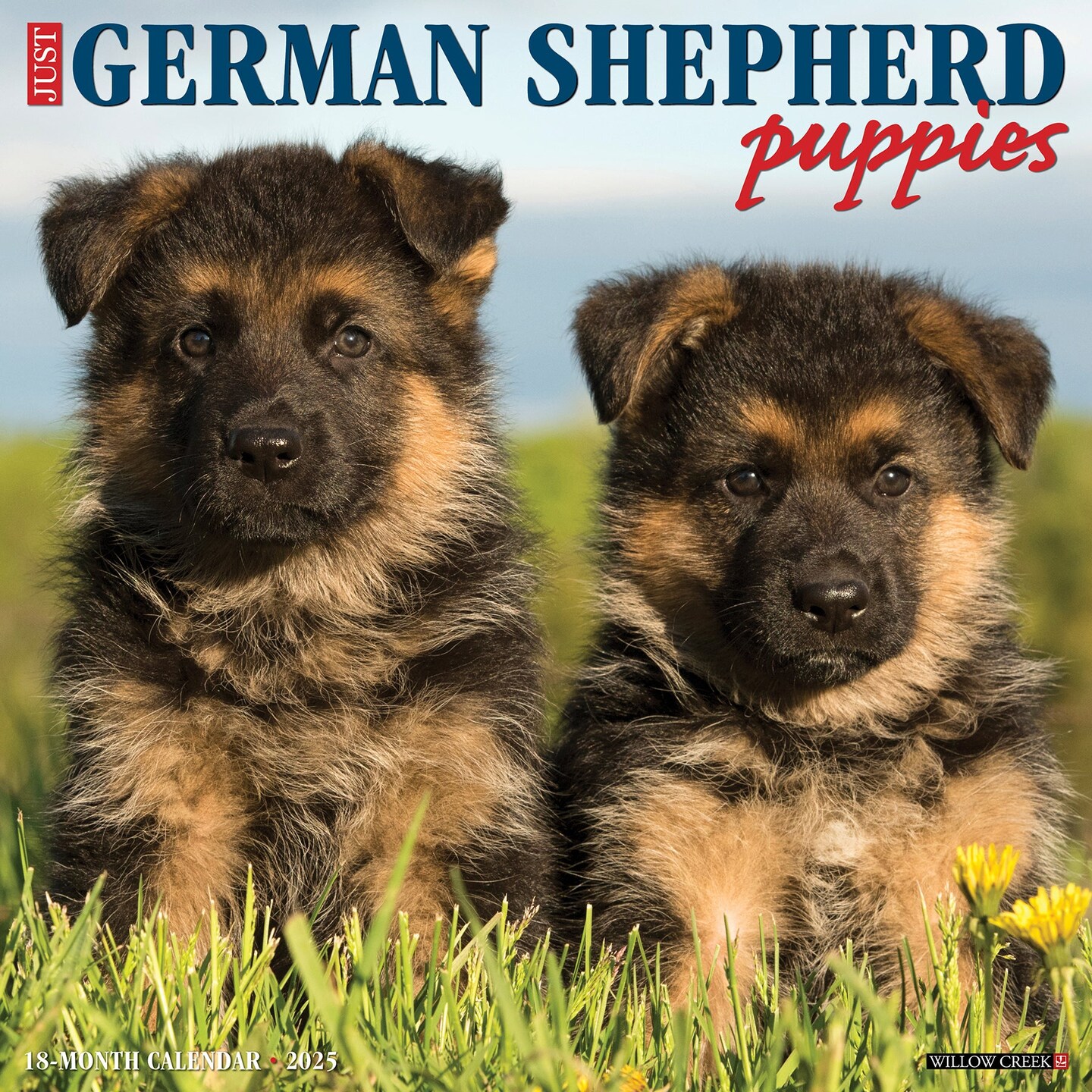 German Shepherd Puppies 2025 Wall Calendar