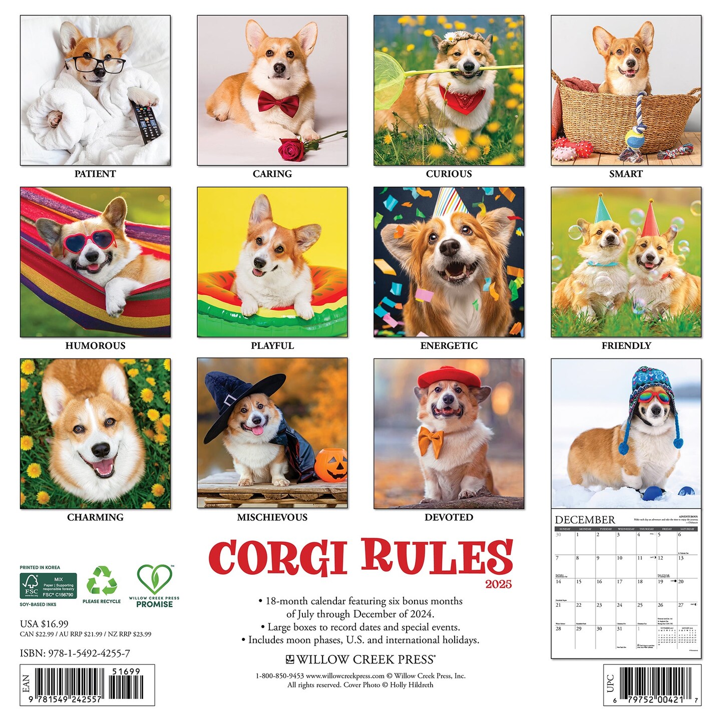 Corgi Rules 2025 Wall Calendar