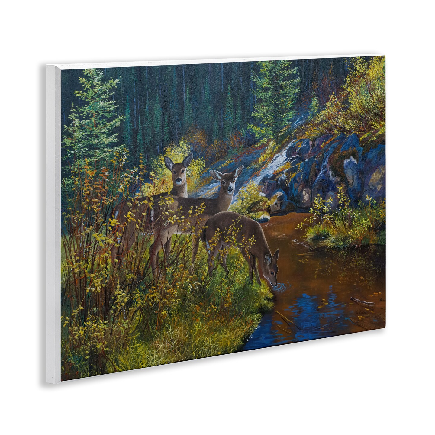 Stupell Industries Deer Drinking from River Wall Plaque Art Design by Andrew Kiss