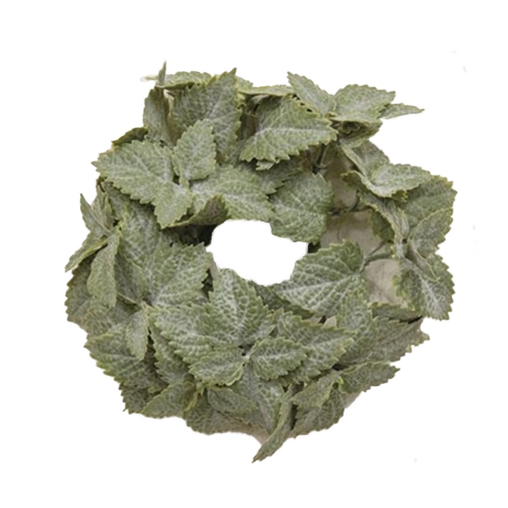 Matte Mint Candle Ring with Neutral Green Mint Leaves for Candle Displays and Mini Wreath Decor