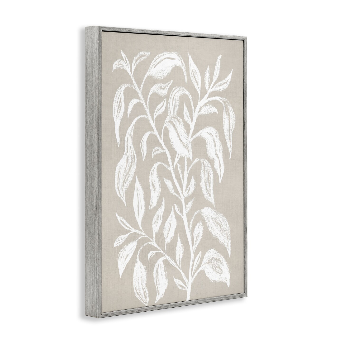 Stupell Industries Chalk Sketch Botanicals Framed Giclee Wall Art Design by Martina Pavlova