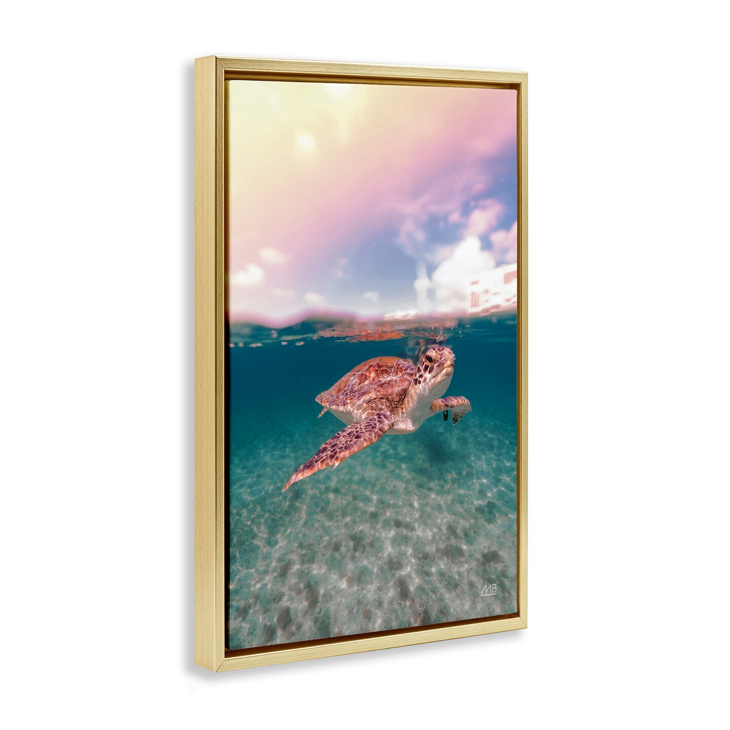 Stupell Industries Above & Below Sea Turtle Framed Floater Canvas Wall Art Design by Max Blakesberg Studios