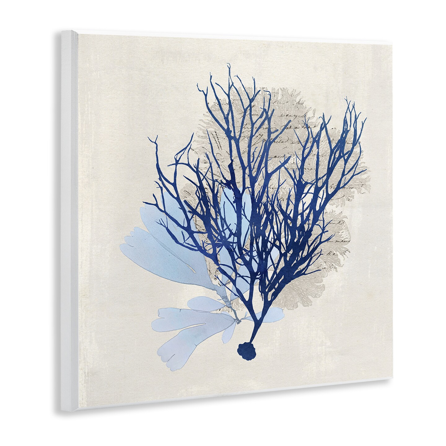 Stupell Industries Modern Coral Branch Wall Plaque Art Design by Susan Arnot
