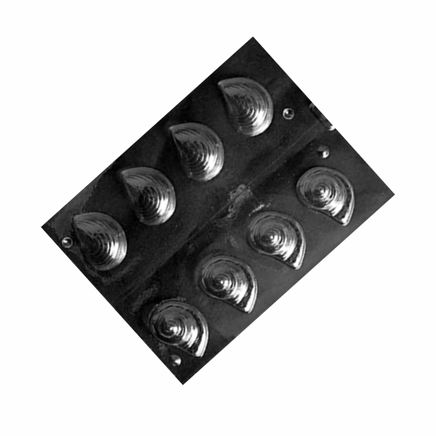 3D Shells Chocolate Mold Nautilus Shaped Candy Mold