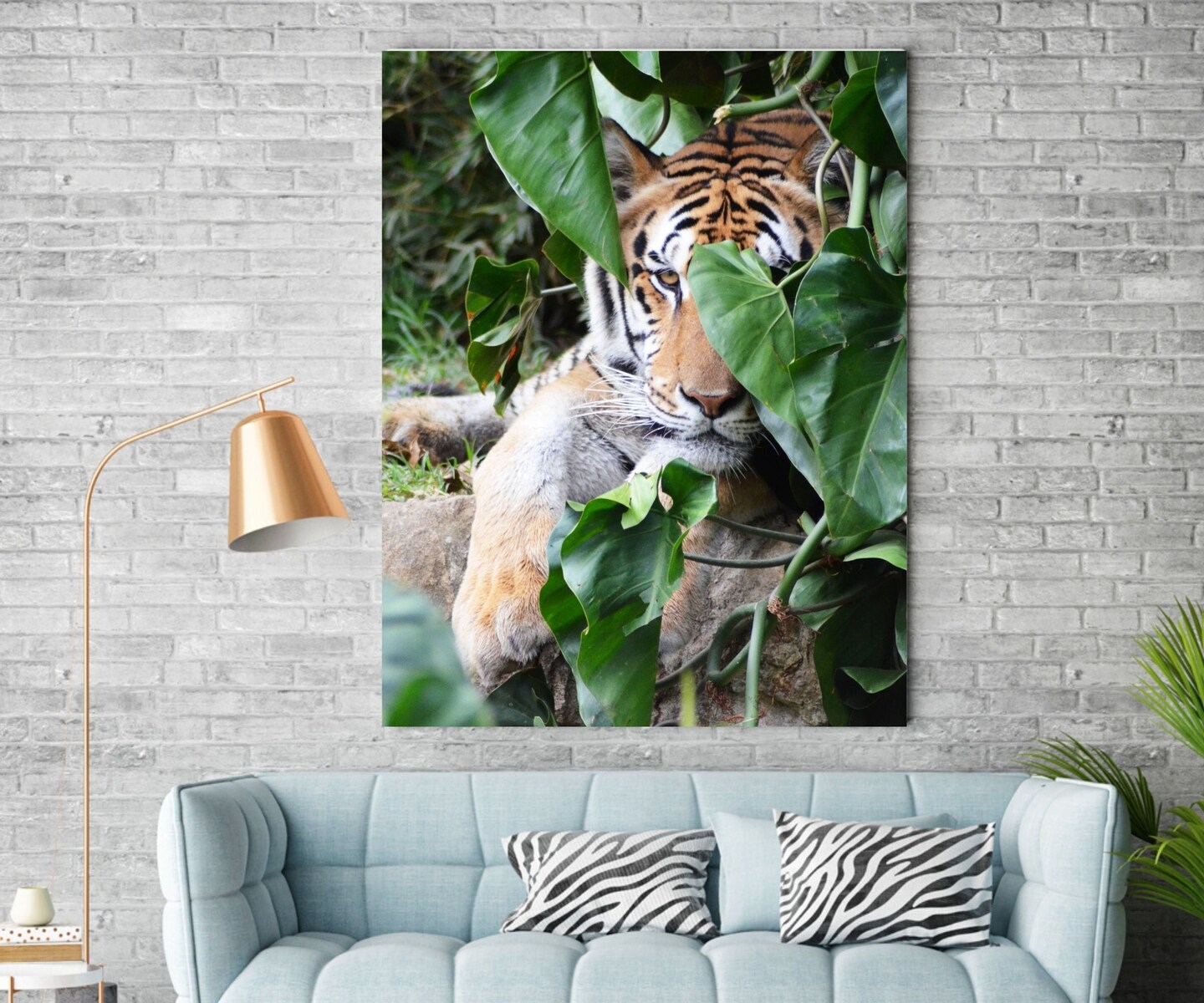 Tiger s Classic Framed Canvas