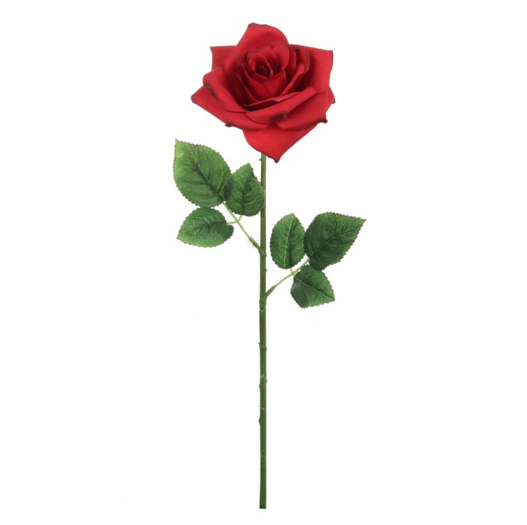 20&#x22; Open Rose Stem - 12 PACK