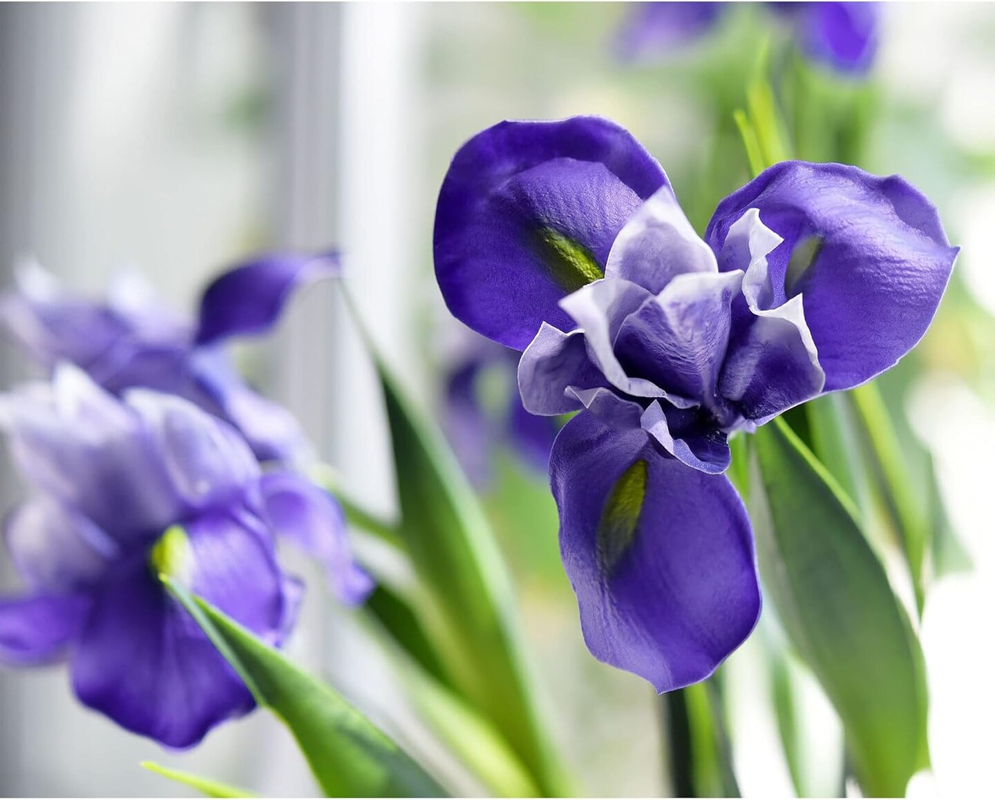 6 Long-Stem Real Touch Artificial Purple Irises &#x2013; Realistic Faux Flowers for Home D&#xE9;cor,