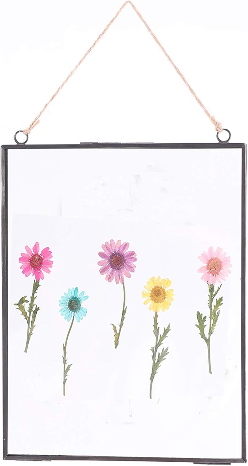 Glass Frame for Pressed Flowers, Wall Floating Brass Picture Frame for Pressed Flower, 11 x 8 Inch Large Copper Double Glass Photo Frame, Hanging Frame for Artwork Certificate Display(Black)
