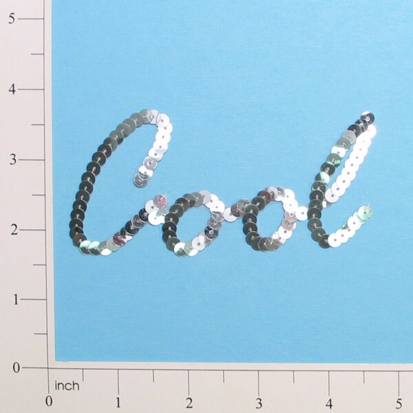 Cool Sequin Applique/Patch