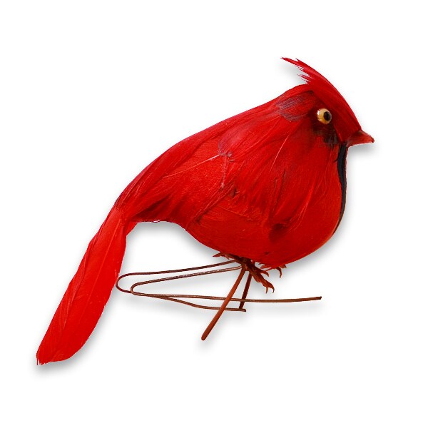 Feathered Bird Accent Decor 4&#x22;