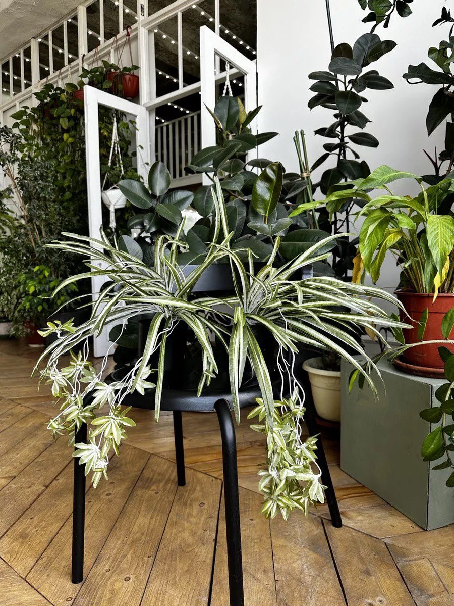Artificial Chlorophytum Fake Spider Plant Decorative Silk Plant Indoor Wall Hanging Plants for Home Garden Verandah