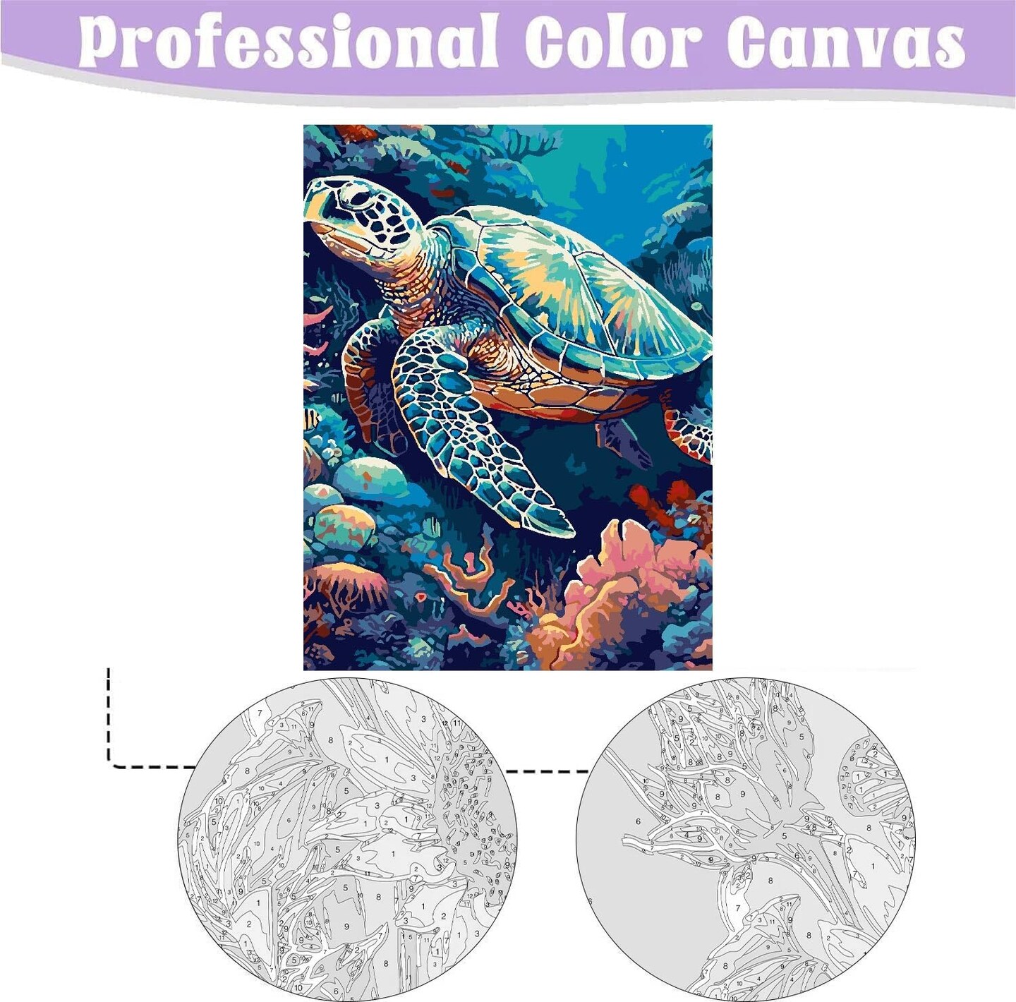 Sea Turtle Paint by Numbers Kit 12x16” – DIY Canvas with Wooden Frame for Adults