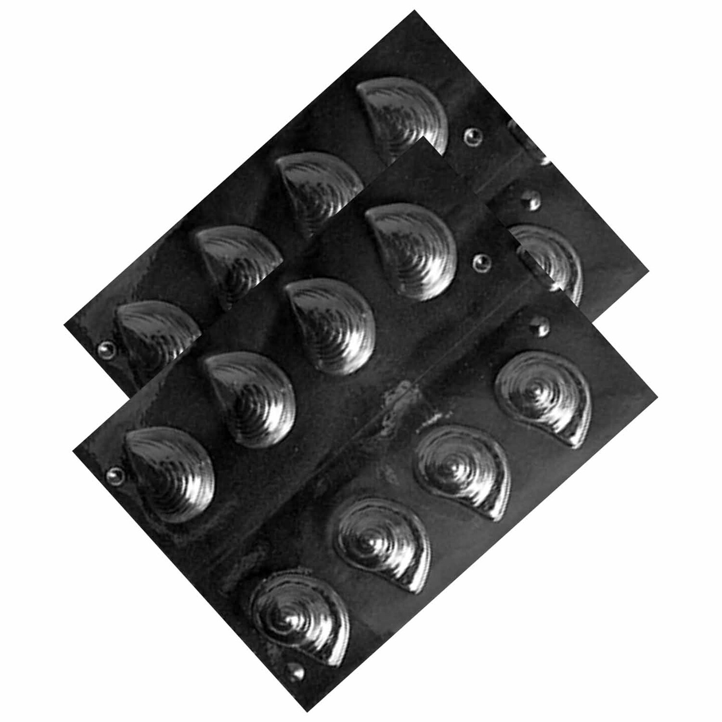 3D Shells Chocolate Mold Nautilus Shaped Candy Mold