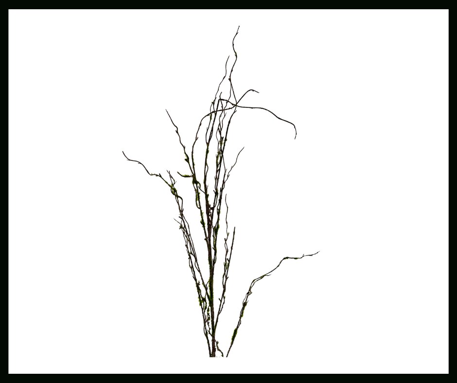 Natural Beauty: 28-Inch Artificial Moss Branch - A Touch of Greenery for Your D&#xE9;cor-287493