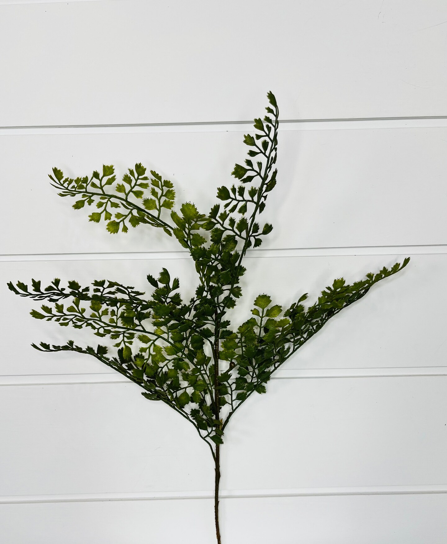 Vibrant and Versatile: 22-Inch Artificial Maidenhair Fern Spray-FG5654