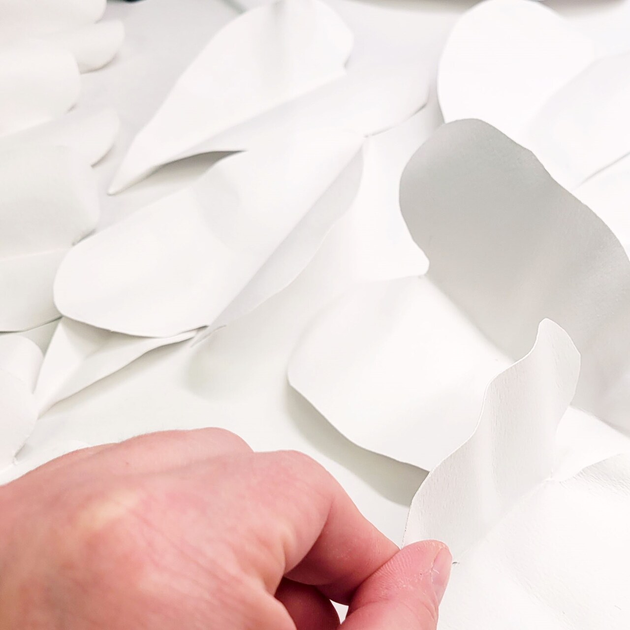 How to Make Painted Paper Plants