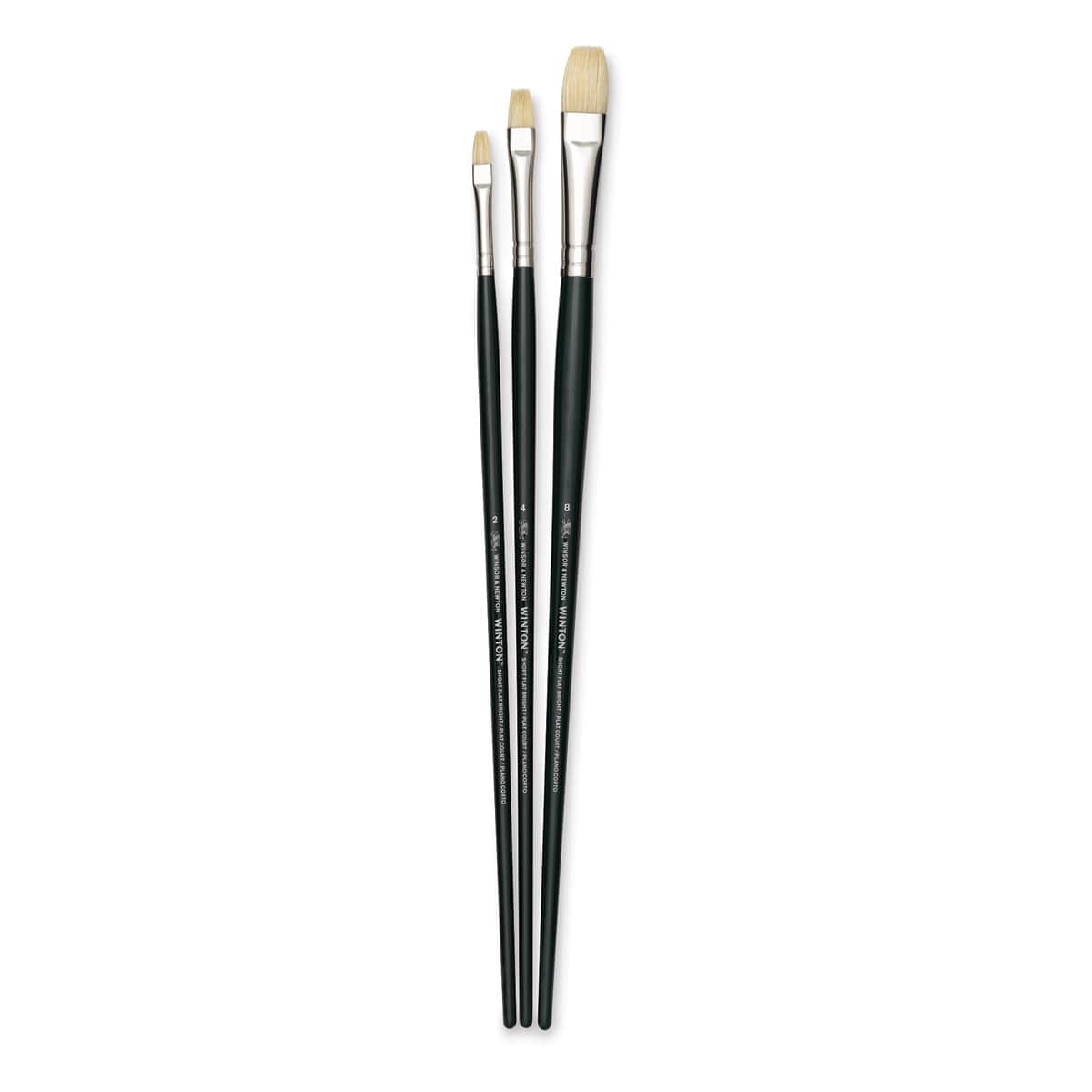Winsor & Newton Winton Hog Bristle Brushes - Assorted, Pkg of 3