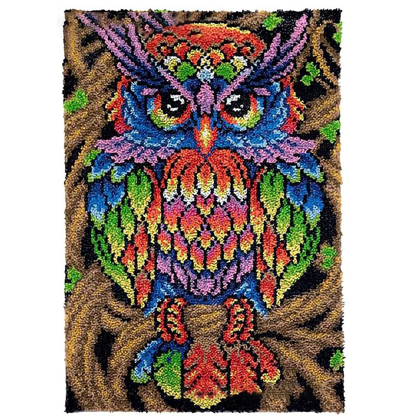 Latch Hook Rug Kits for Adults, Colorful Owl with Preprinted Canvas Pattern DIY Carpet Tapestry Rug Cushion Yarn Needlepoint, 22.5X33.5Inch / 58X85cm