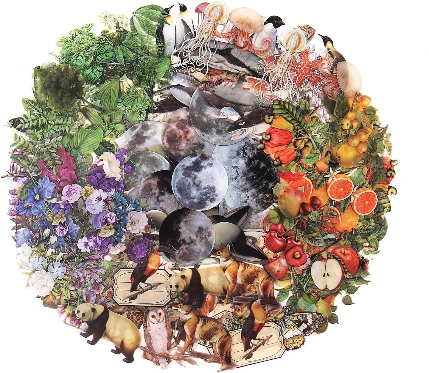 240PCS Nature Transparent Stickers Set – Vintage Flora & Fauna PET Stickers for Scrapbooking, Journaling, Photo Albums, Card Making & DIY Crafts