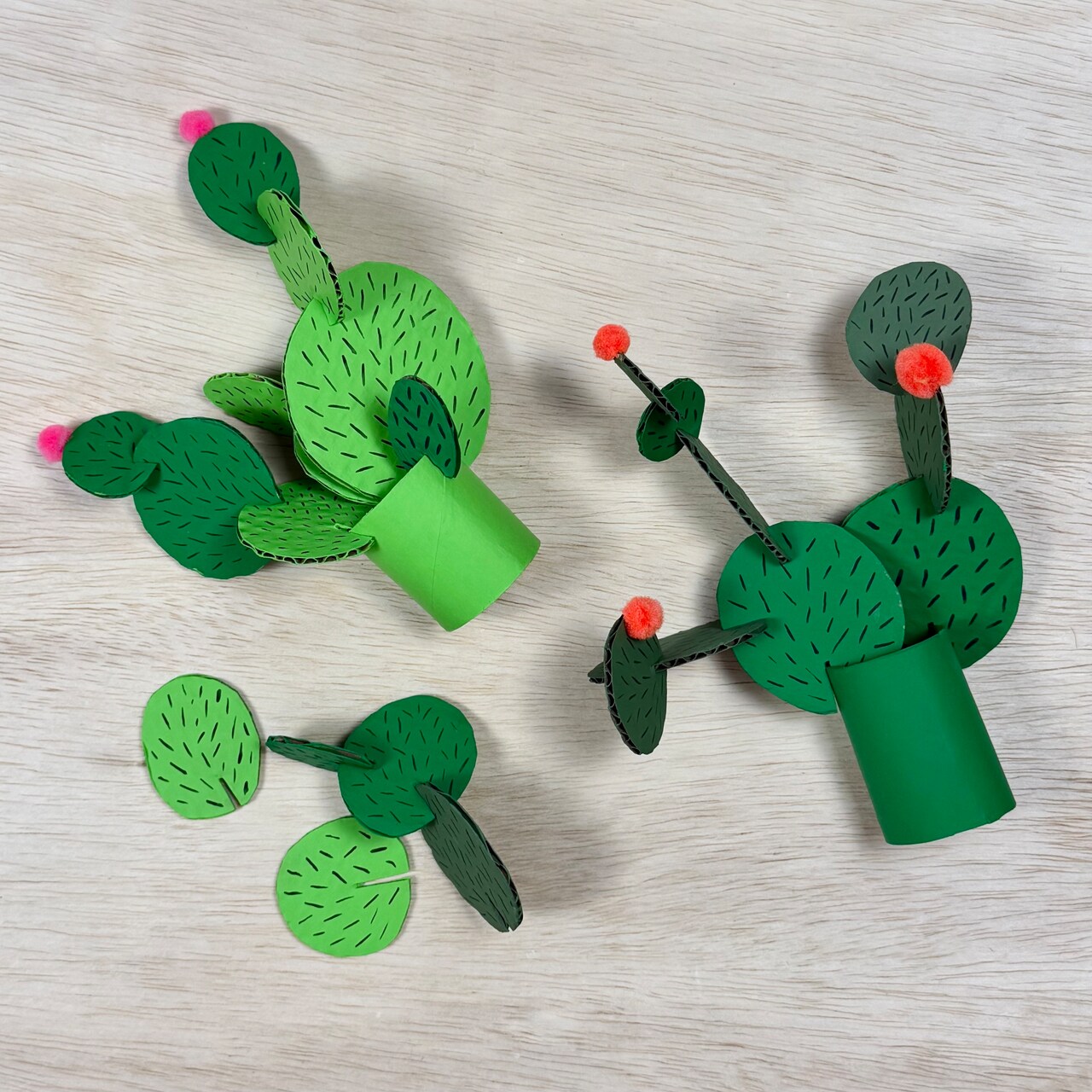 Kids Club: Adjustable Cardboard Cactus Craft