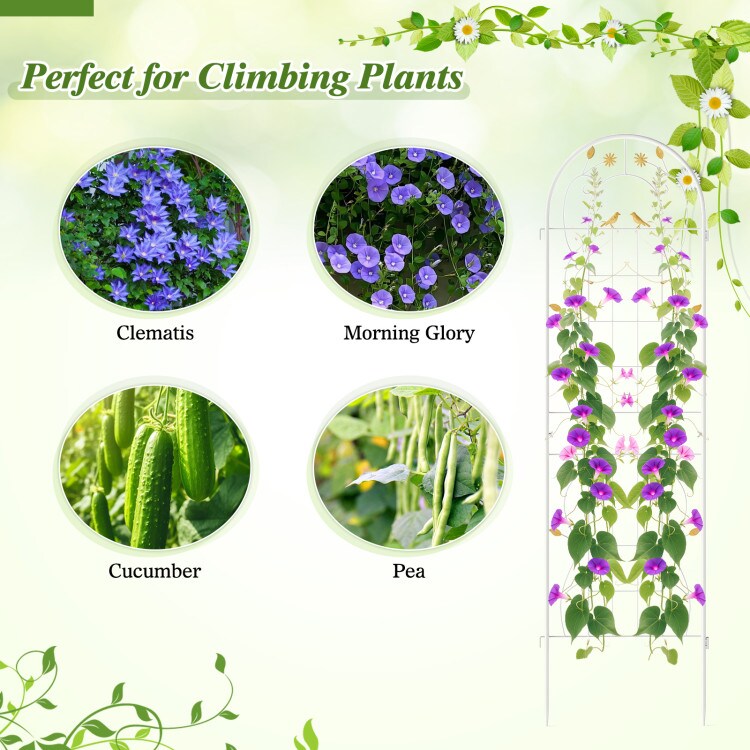 Galvanized Steel Garden Trellis 71 Inch 2 Pack Climbing Support