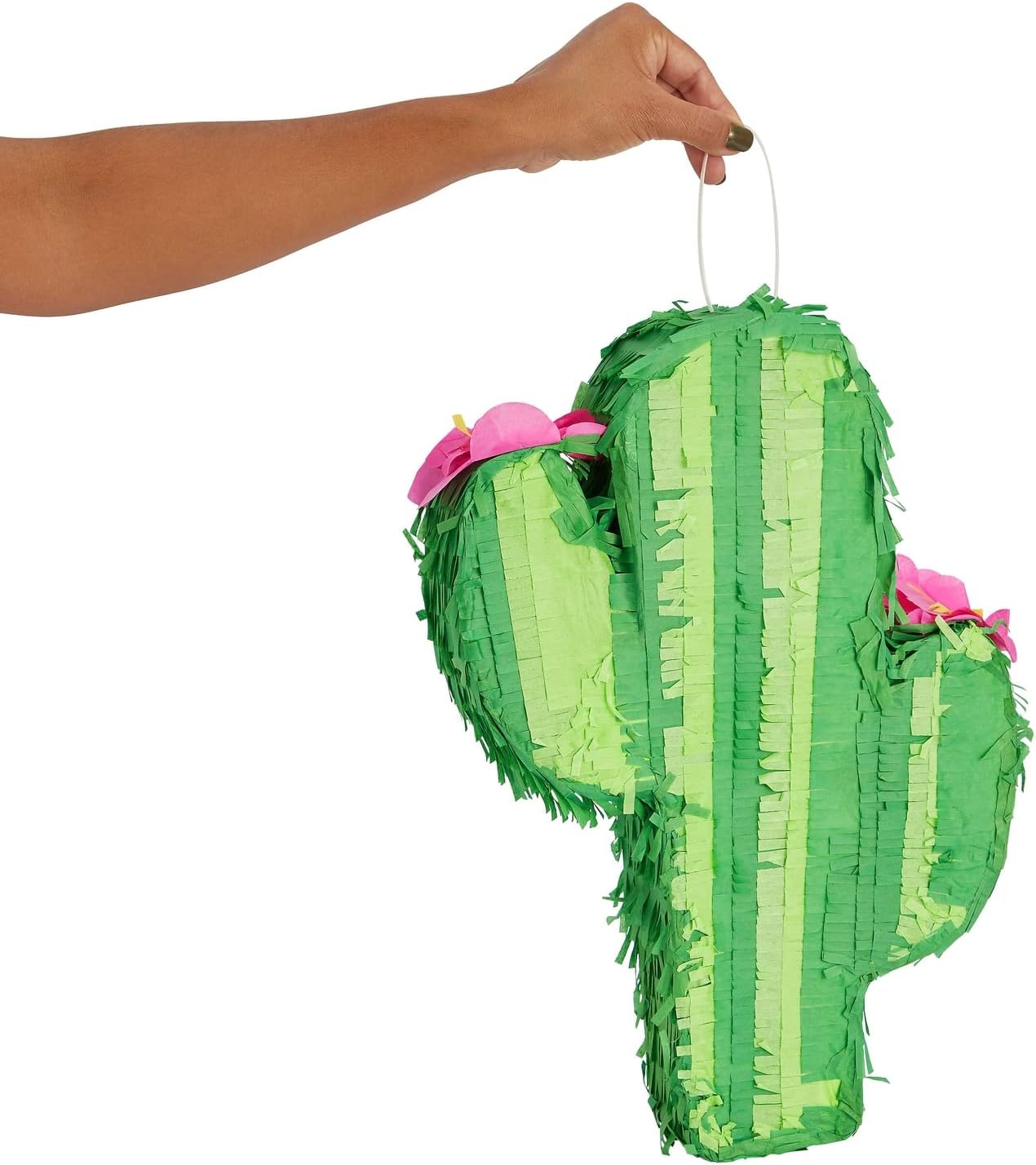 Cactus Pinata for Kids Birthday, Baby Shower, Cinco de Mayo, Mexican Fiesta Party Decorations (Small, 16.5 x 11.5 x 3 In)