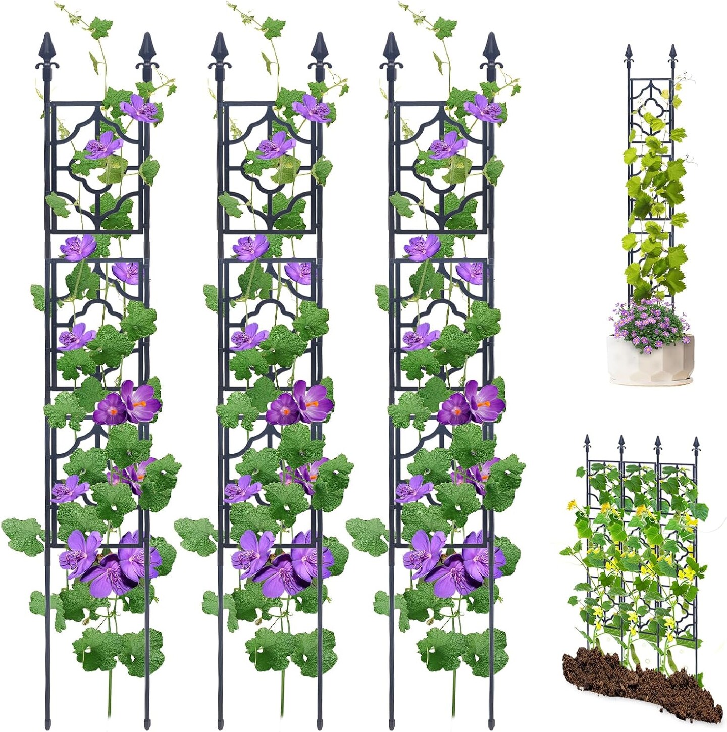 Garden Trellis for Climbing Plants 65 Inch