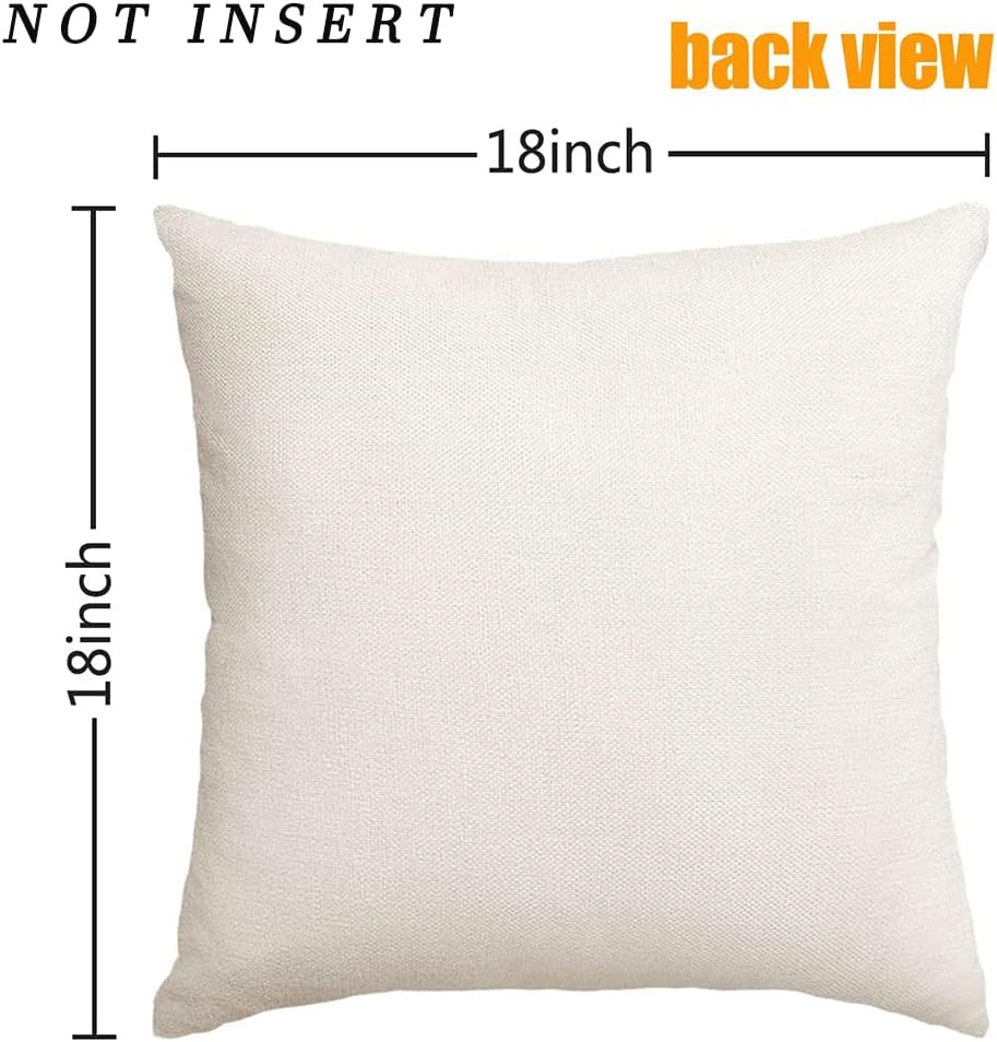 18x18, Set of 2 Decorative Throw Pillow Covers for 4th of July Decorations