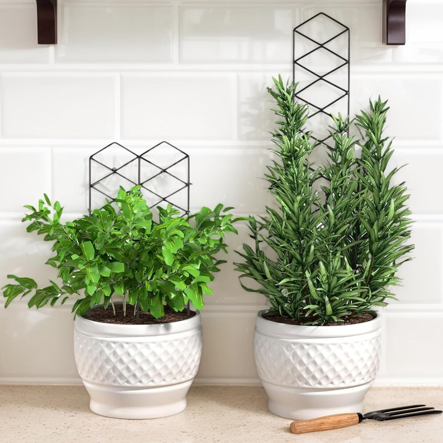 Stackable Metal Trellis for Potted Plants - 4 Packs