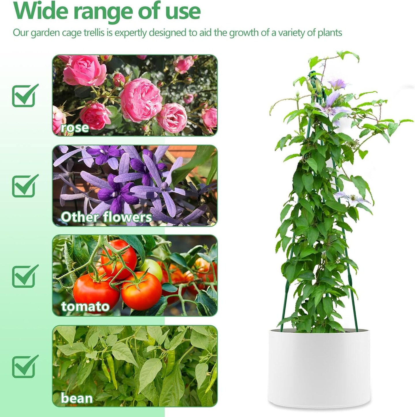 2Pack 59 inch Garden Obelisk Trellis