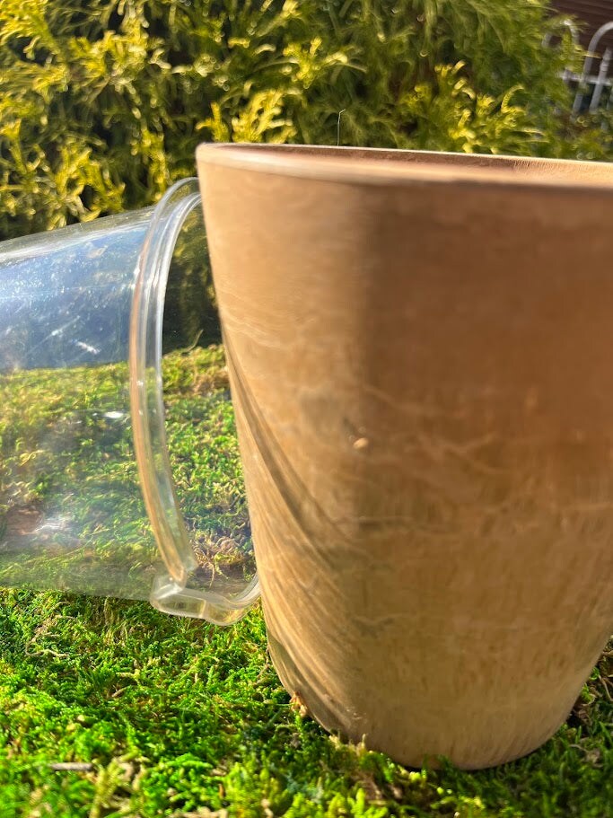 Greenhouse Planter - 2 in 1