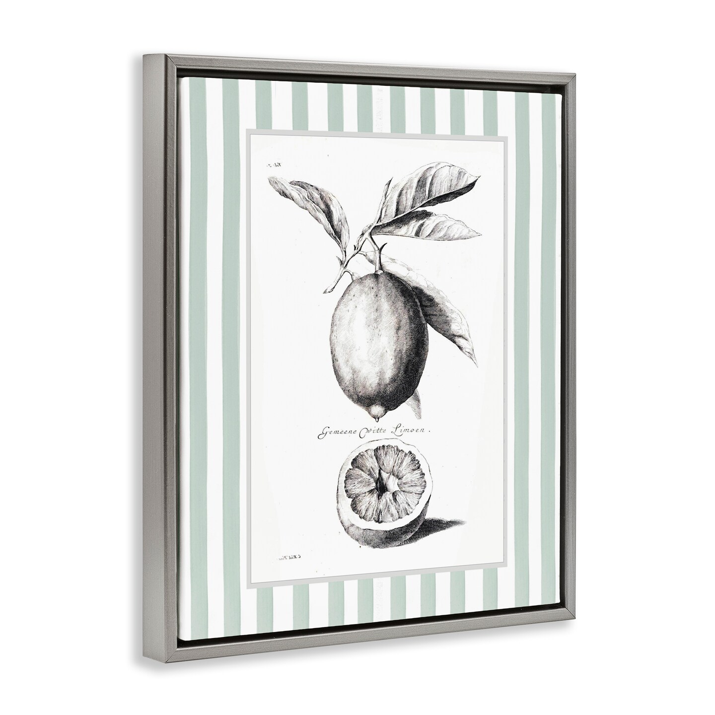 Stupell Industries Vintage Citrus Green Stripes Floating Frame, design by Lettered and Lined