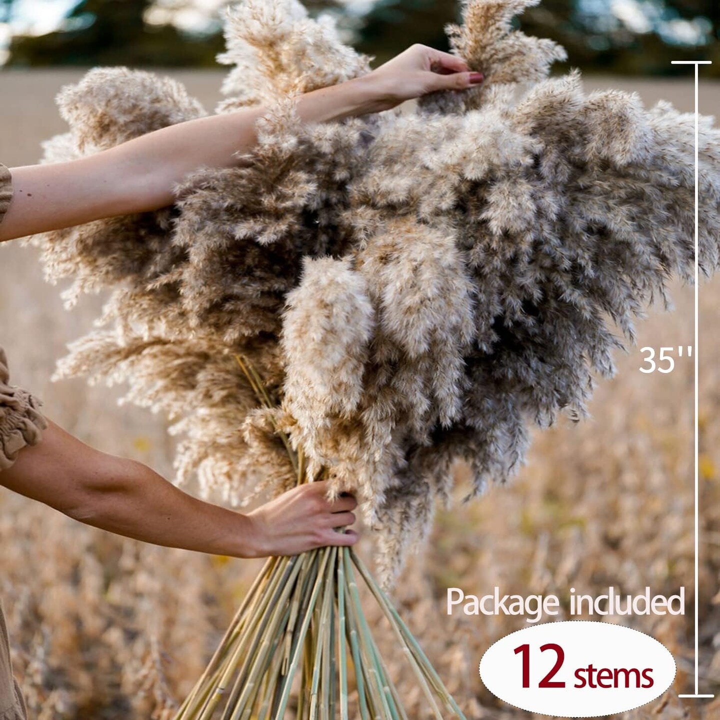 12 Pcs Large Dried Pampas Grass Decor Tall 35 inches(12 Pcs - Brown)