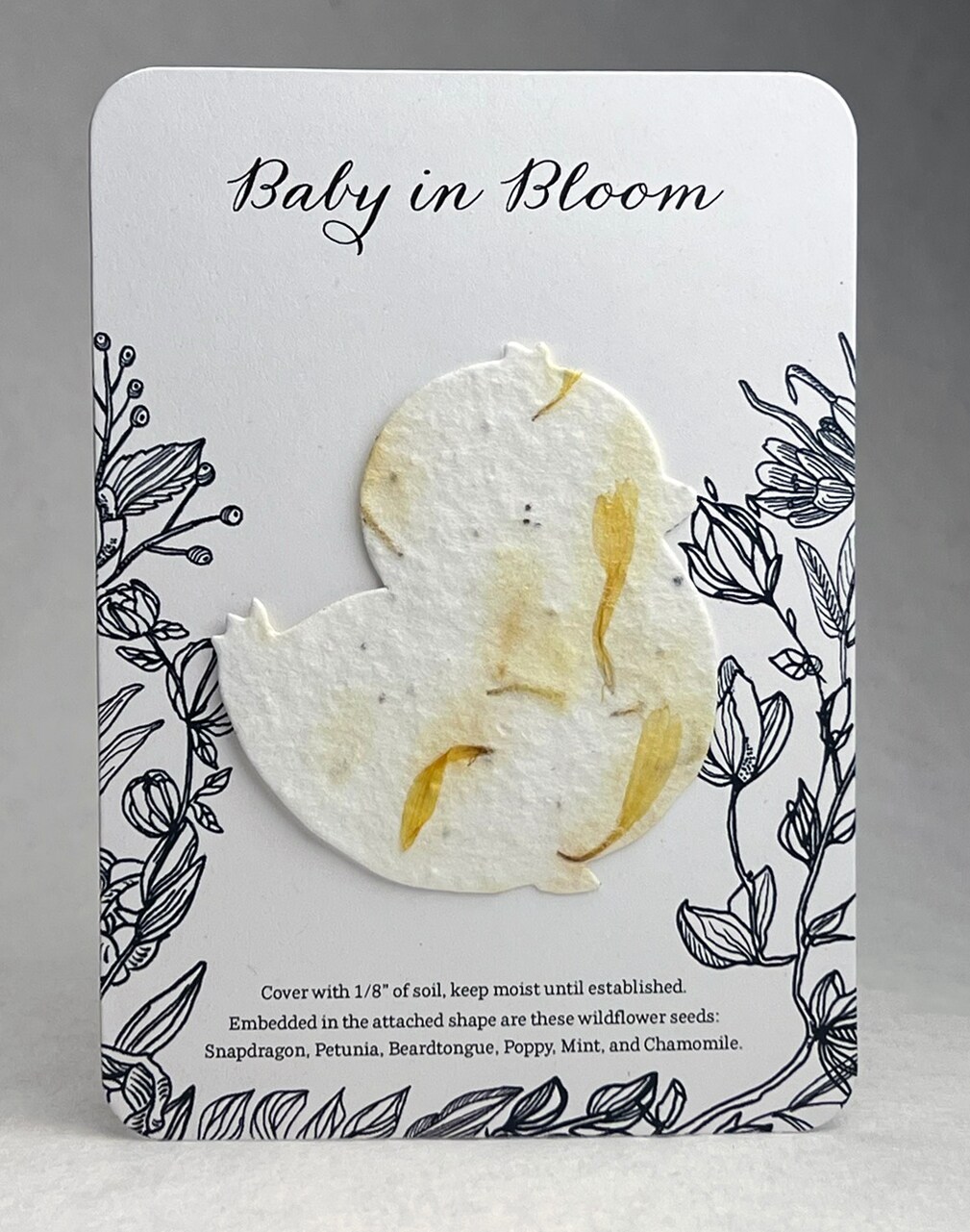 Big Booty Bear Plush | MakerPlace by Michaels