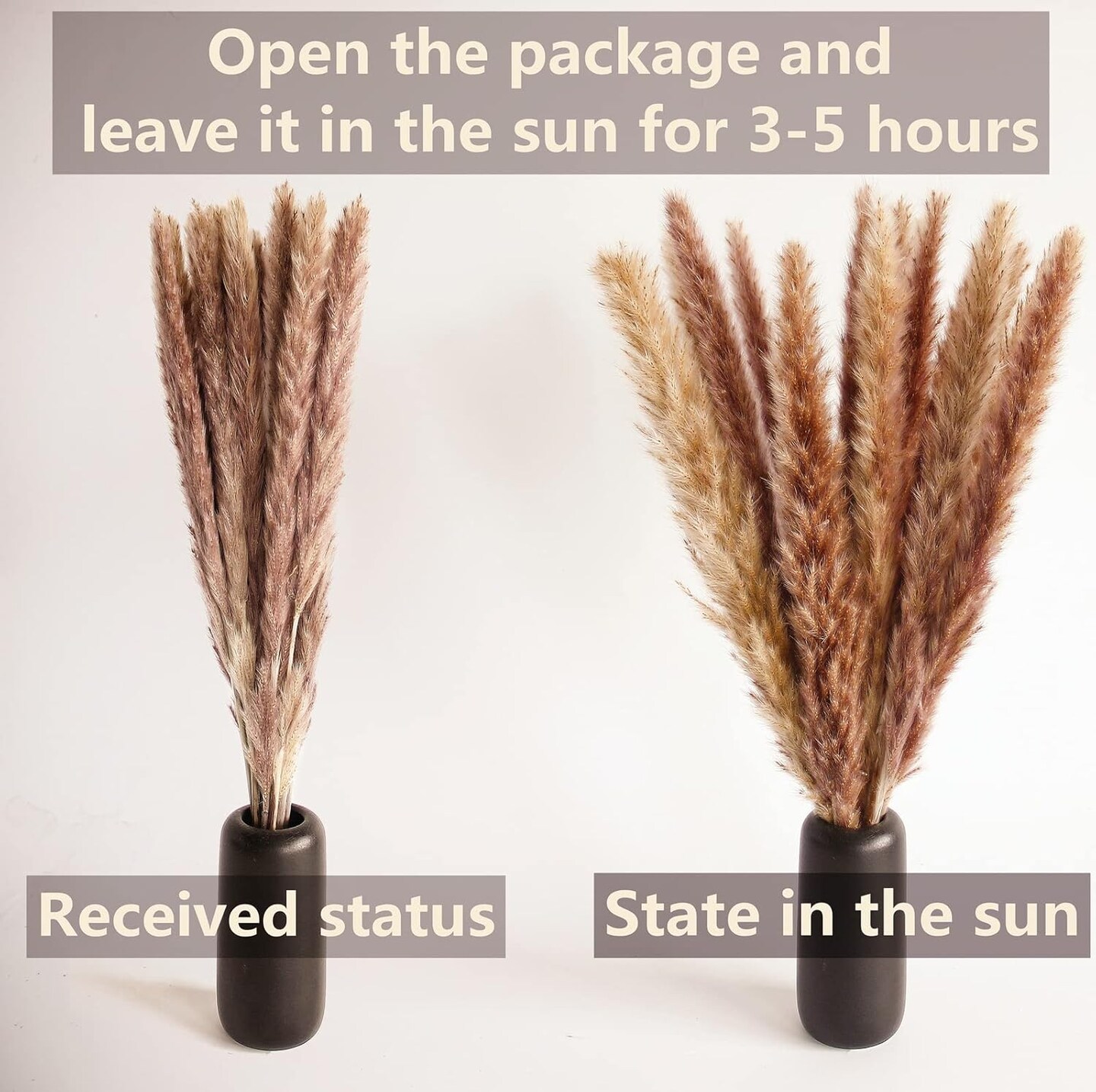 100 PCS Small Boho Pampas Grass, 17" Naturally Dried Pompas, Pampas Grass Decor for Wedding , Boho Party Decorations, Table Decor(Brown and White)