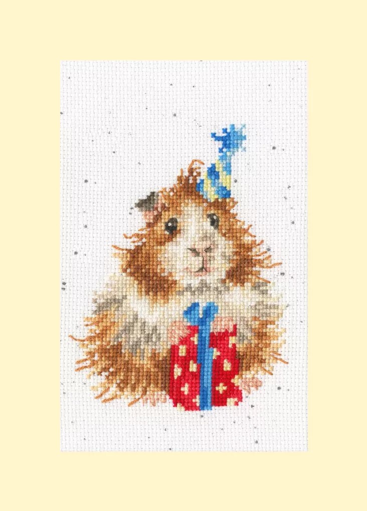Guinea Be A Great Day -Thread Pack XGC38-TP Counted Cross Stitch Kit