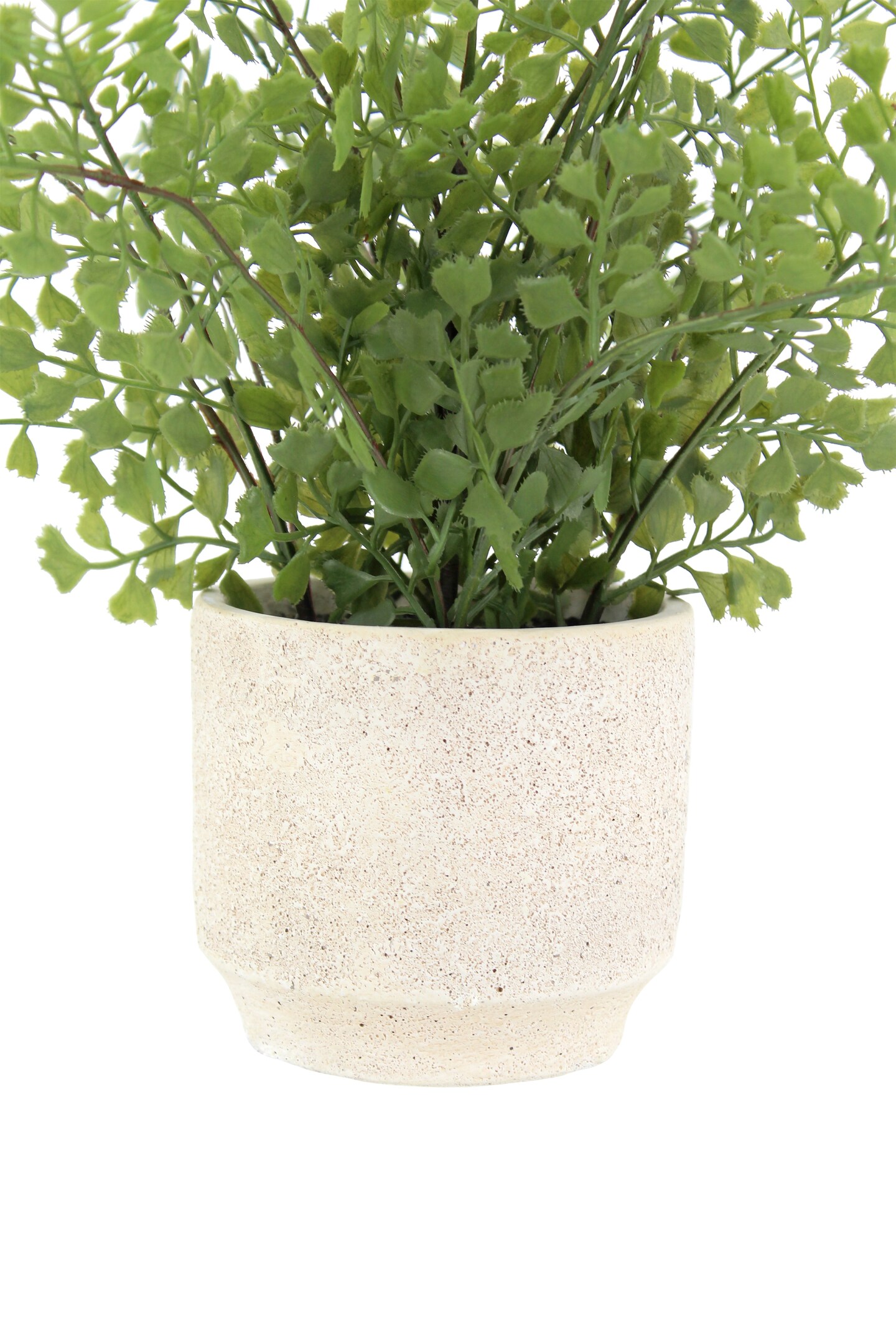 16&#x22; Faux Snake Plant &#x26; Fern Set