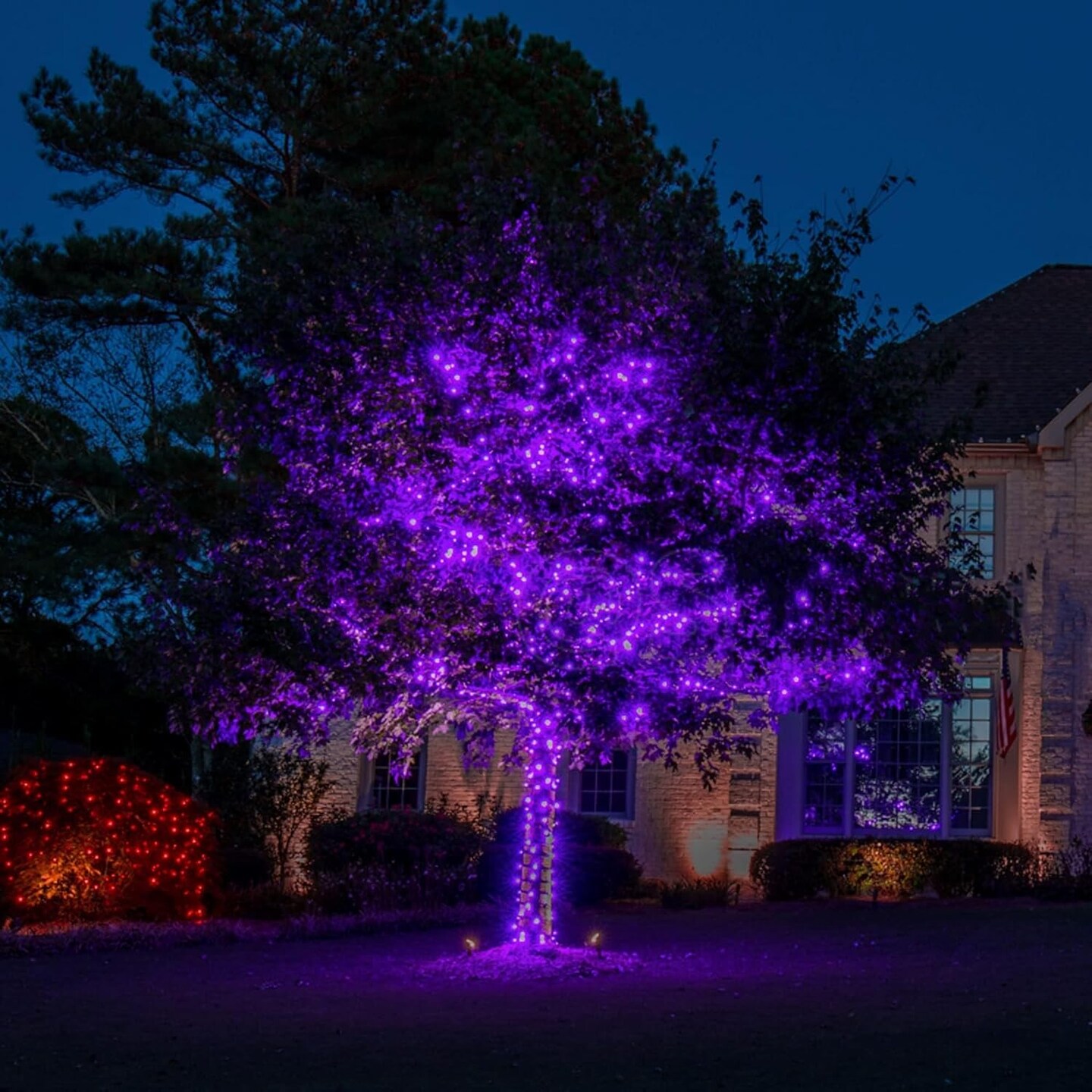 200 LED 66FT Outdoor Halloween Lights (&#x9;Purple)