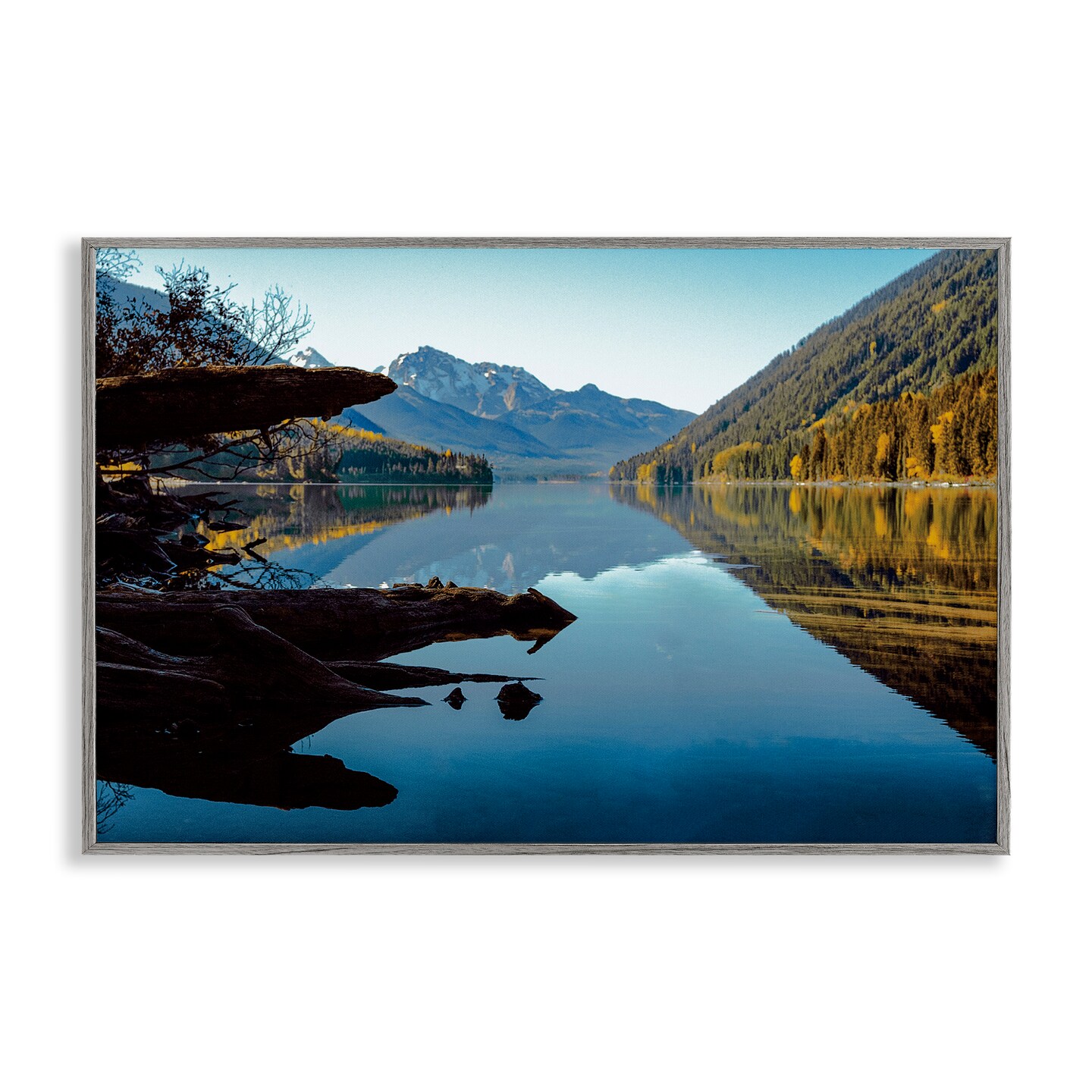 Stupell Industries Evergreen Mirrors River Reflection Framed Giclee, design by Madison Starnes Photography