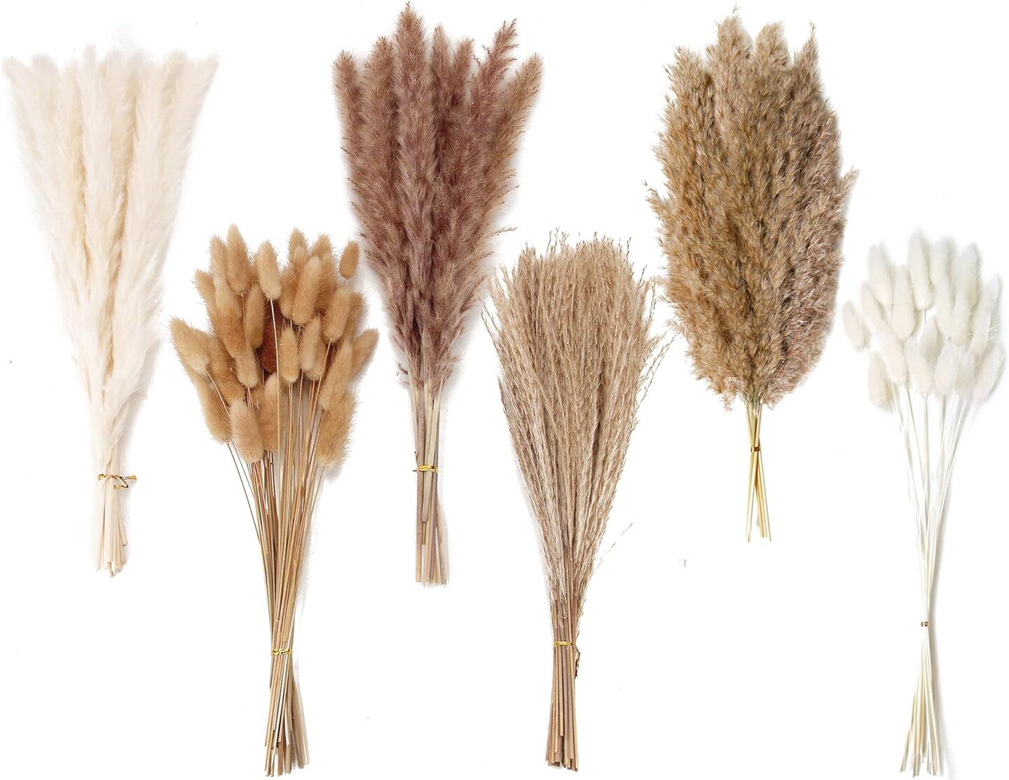 Dried Pampas Grass Decor (White and Brown)