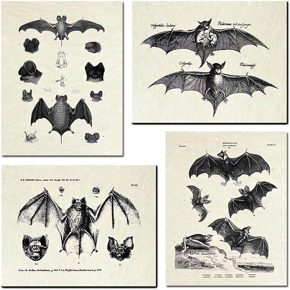 4 Pcs Bats Wall Decor Bats Halloween Decoration