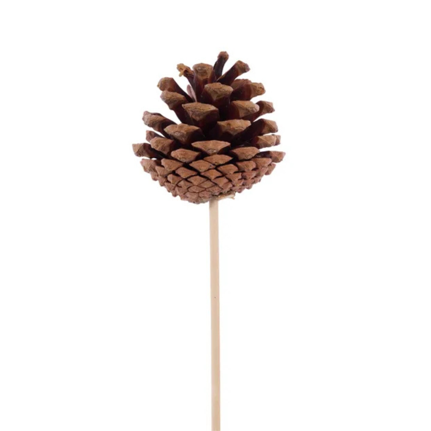 Natural Pinecone Pick 1.75"-2.75" with 7" Wooden Stem-XD133918