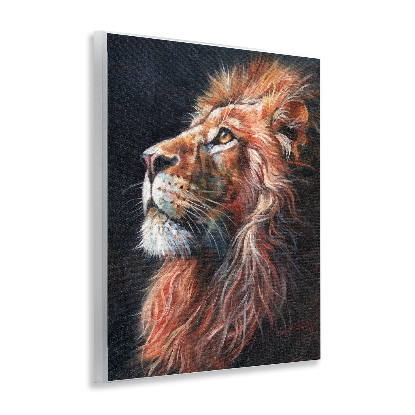 Stupell Industries Look Of The Lion Wall Plaque, design by David Stribbling
