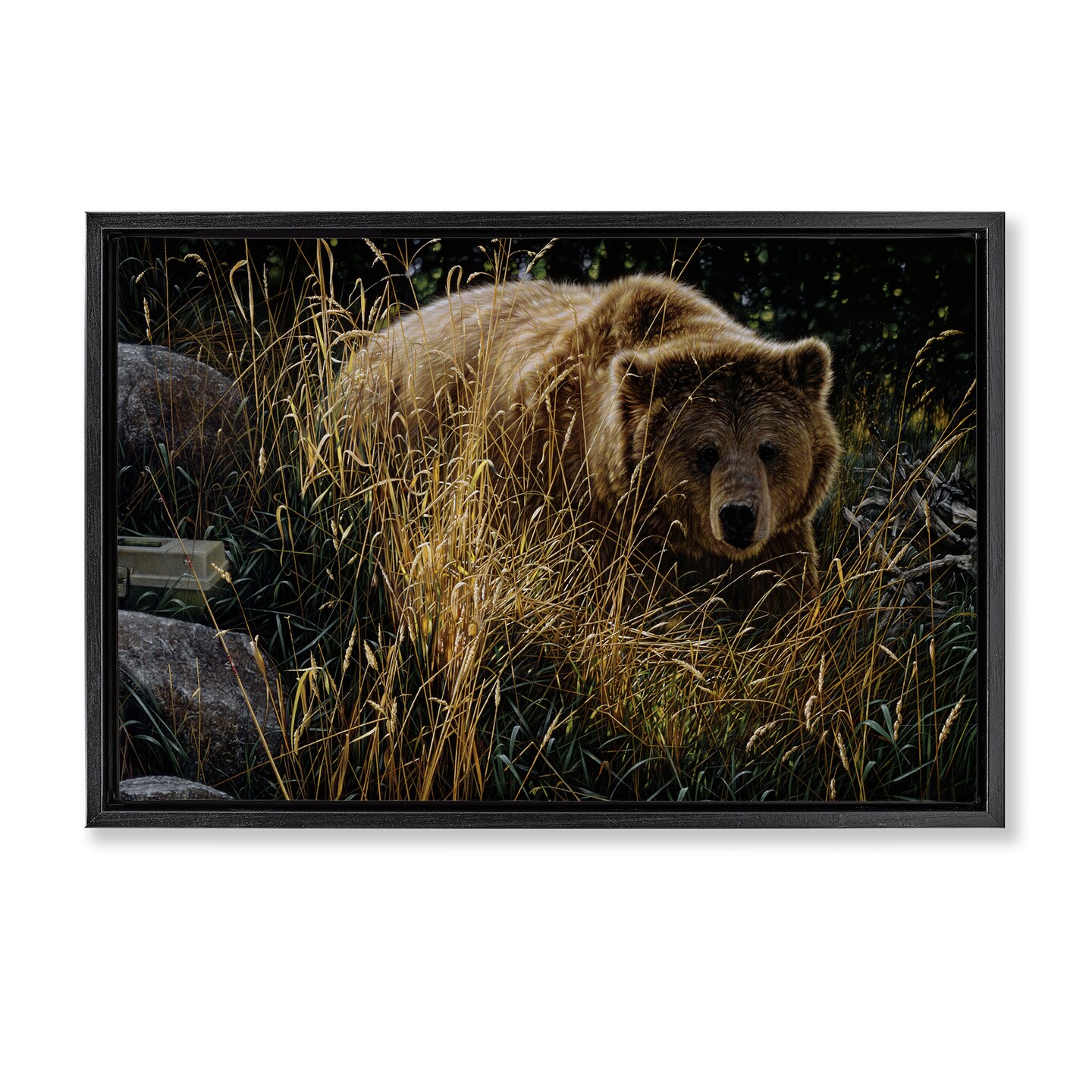 Stupell Industries Crossing Paths Grizzly Bear Floating Frame, design by Collin Bogle