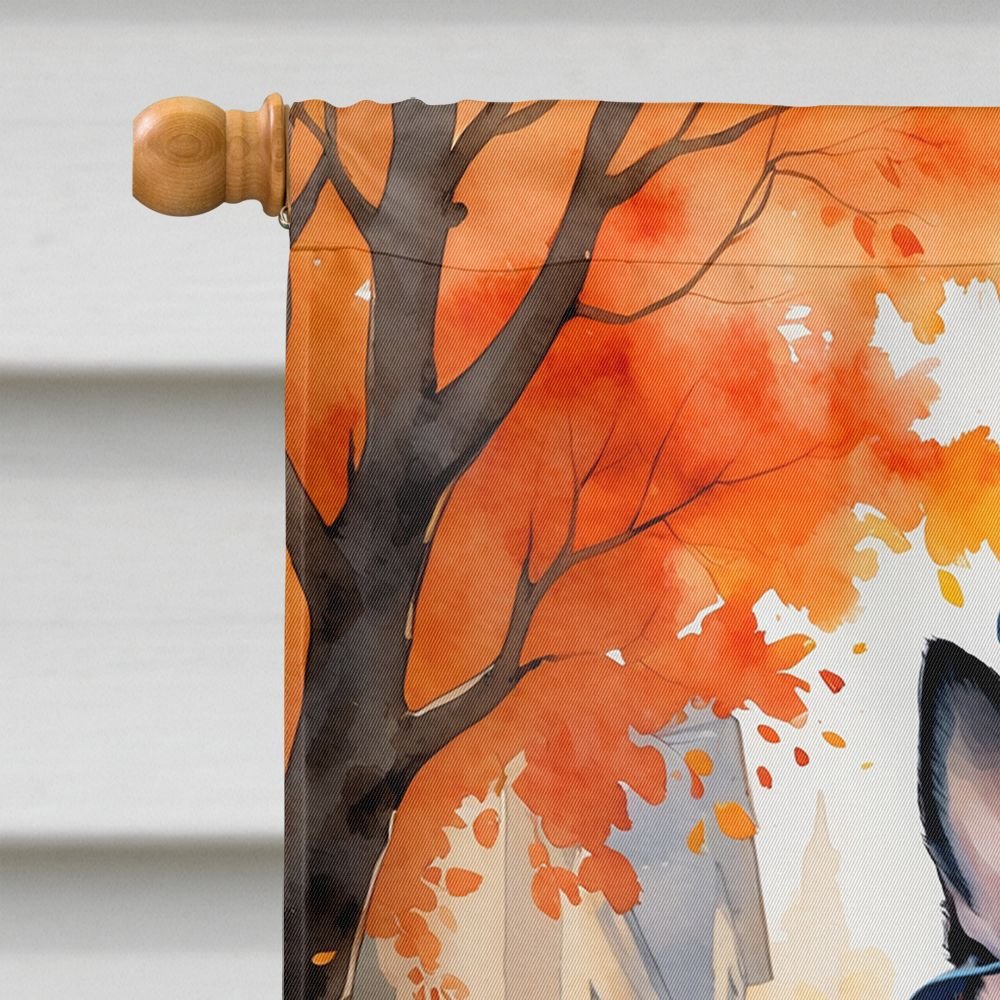 Edge Collections - 28" x 40" - Multicolor - Boston Terrier Halloween House Flag - 1 Piece