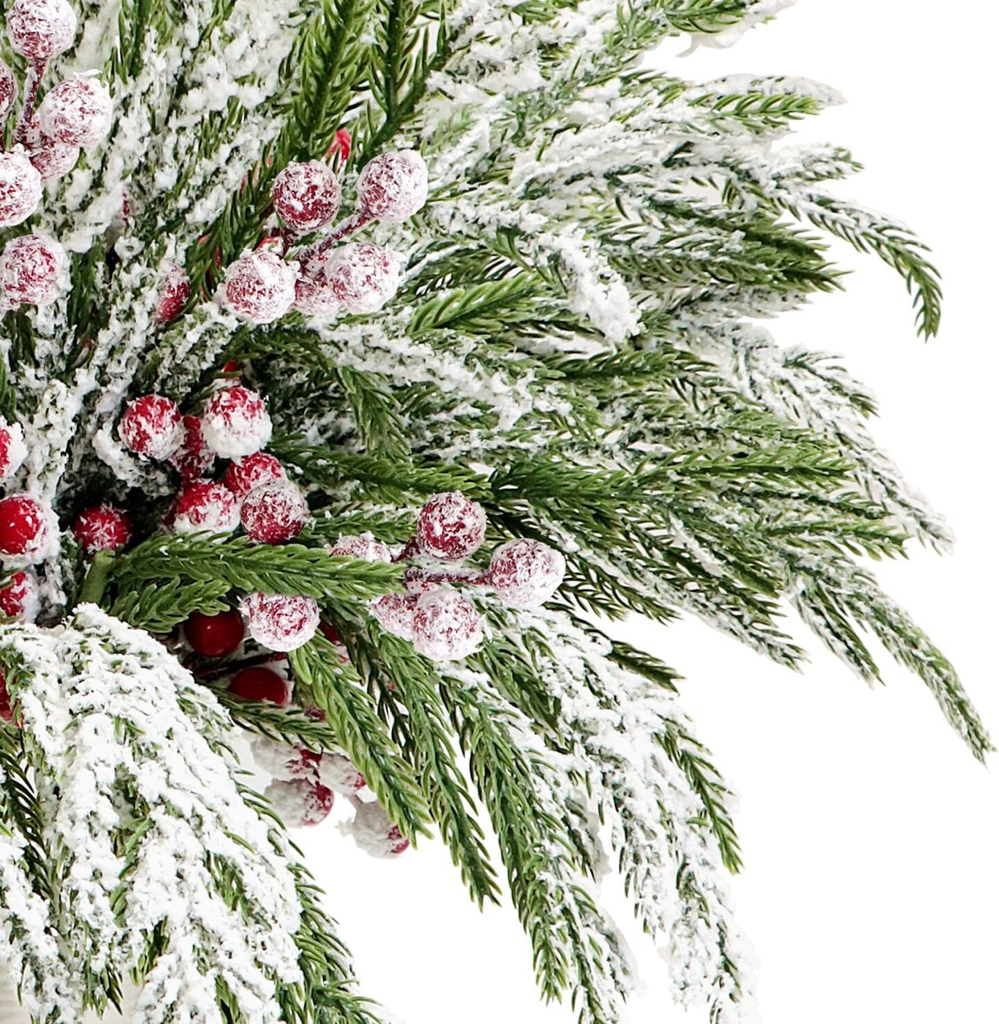 Norfolk Pine Branches (Snow)